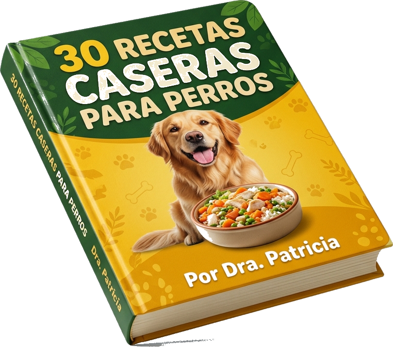 30 Recetas Caseras para Perros